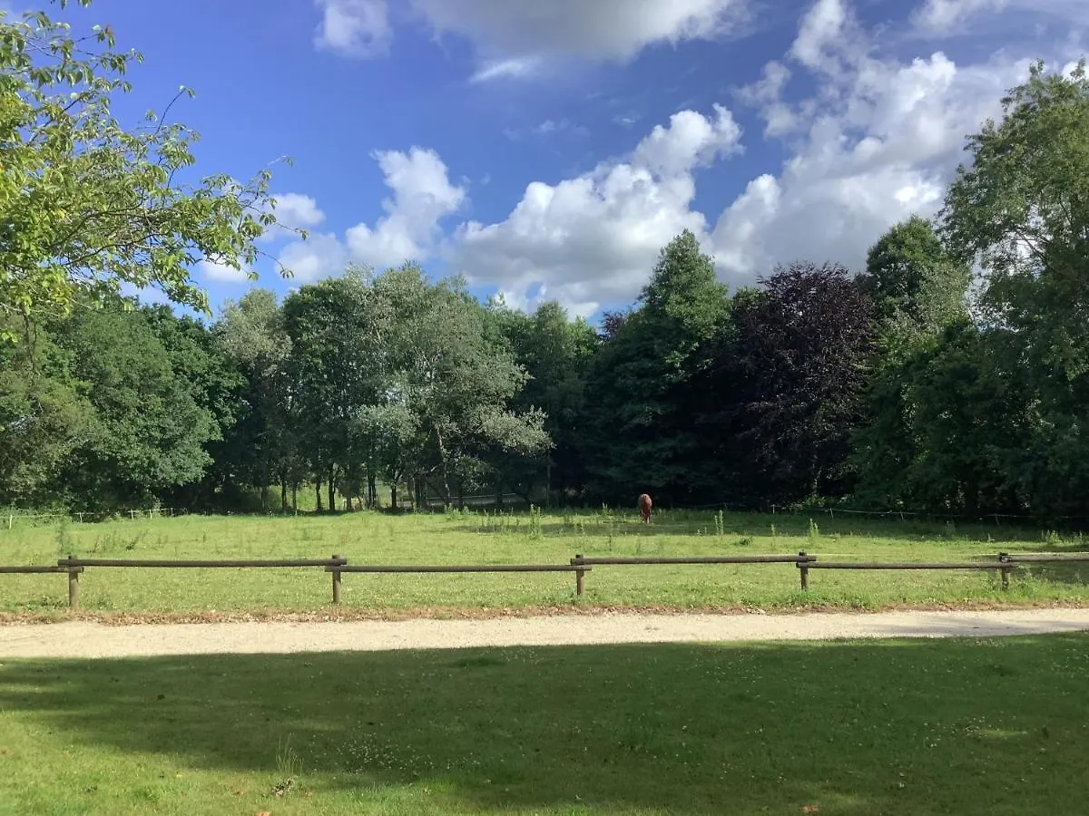 Gite Maez 4 Pers 29450 Sizun 0*,  France